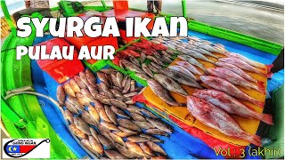 SYURGA Ikan Pulau Aur  Boat Tuna Biru Dayang  Geng Ngail Melaka Vol 3 Akhir [upl. by Delanty]