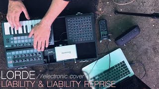 Lorde  Liability amp Liability Reprise Cover [upl. by Otcefrep604]