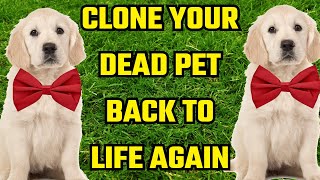 Pet Cloning The Future or An Ethical NightmareInside The Growing BusinessDuplicate Your Pet Back [upl. by Rolland]