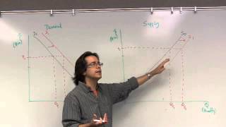 Supply and Demand Shift vs Movement along [upl. by Aicenad]