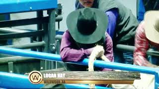 Logan Hay on C5 Rodeos Rockstar Canadian Agribition 2018 [upl. by Matias288]