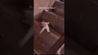 When i was a baby and then this happend like memes edit subscribe funny [upl. by Atikihs]