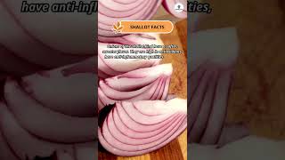 Shallot Facts shorts facts shallots [upl. by Baxy]