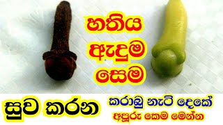 හතිය අැදුම සෙම සුව කරන කරාබු නැටි දෙකේ ඔසු බලය මෙන්නthuru tv [upl. by Namolos87]