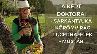 Borbás Marcsi Kertem  A kert doktorai 6 rész [upl. by Retrop807]