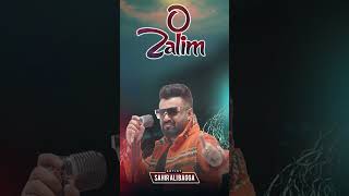 O Zalim  Sahir Ali Bagga  Sab Music  PT2 [upl. by Colinson]