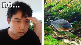 Please help my angelfish ate all his tankmates  Fish Tank Review 276 [upl. by Ynaffad]