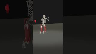 Jumping Anatomy 3D Animation shorts [upl. by Bilski]