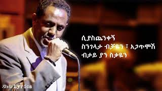 Dawit Melese Alchalkum Lyrics [upl. by Susette532]