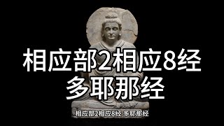 相应部2相应8经 多耶那经，中文白话翻译。（89） [upl. by Leggett588]