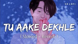 Tu Aake Dekhle Lofi   Slowed amp Reverb   Hindi Love Song  lofi [upl. by Anuhsal]