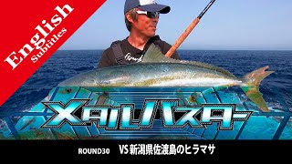 Kingfish and Yellowtail on RUSH DIVE in Sado island [upl. by Lurline]