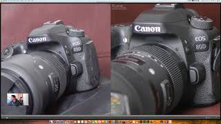 Nikon d500 vs d850 dynamic range test [upl. by Tenay558]