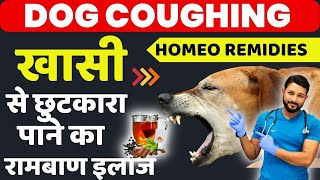 Kutte Ko Khansi Ho To Kya Kare  Kennel Home in Dogs Remidies  Medecine kutte ki khansi ka ilaj [upl. by Malina]