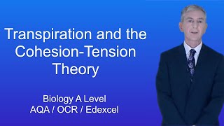 A Level Biology Revision quotTranspiration and the CohesionTension Theoryquot [upl. by Anirb394]