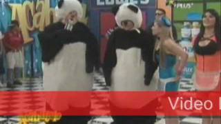 Los Pandas De Acabatelo [upl. by Notsud]