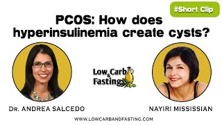 PCOS How does hyperinsulinemia create cysts [upl. by Orabelle]