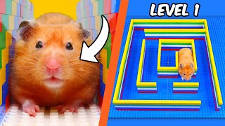 I built a LEGO MAZE for a HAMSTER [upl. by Elinore811]