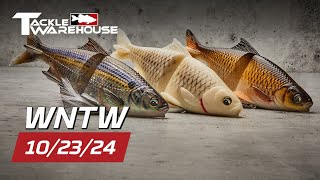 ONLY at Tackle Warehouse  Savage Gear Soft Shine Glide Swimbait PLUS New DUO Realis amp Nichols [upl. by Otrebor570]