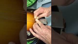 How to remove a mandolin tailpiece cover [upl. by Esinereb]