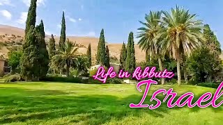 Life in Kibbutz Israel [upl. by Attesor]