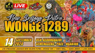 Live New Srijoyo Putro FULL 1289 Pace Nganjuk Ft LJha Audio [upl. by Kuska9]