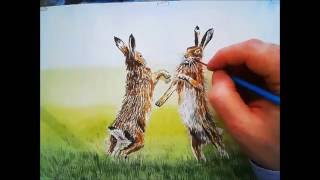 Boxing Hares Watercolour Tutorial [upl. by Mukerji]