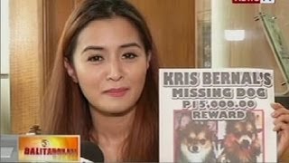 BT Kris Bernal nagaalok ng P15k sa makapagsasauli sa nawawalang asong pomeranian [upl. by Olraced]