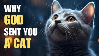 😺 Why God sent you a cat  Feline spirituality [upl. by Aylat]