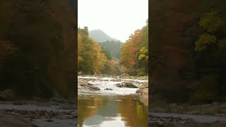 Autumn river sounds autumn river [upl. by Kehoe]