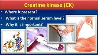 Creatine KinaseCKClear overview [upl. by Millard]