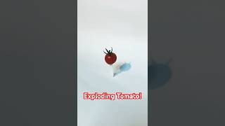 Exploding Tomato… Insane Shot [upl. by Nmutua]