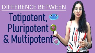 Difference Between Totipotent Pluripotent and Multipotent I NEET GATE CSIRNET IITJAM DBT ICAR ICMR [upl. by Paine3]