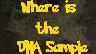 Where Is The DNA Sample Location 1 Pokemon Colosseum [upl. by Nyllij]