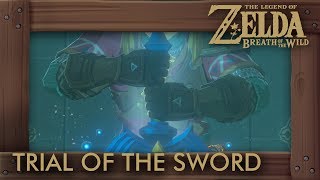 Zelda Breath of the Wild  Trial of the Sword Final Trials [upl. by Ravel]