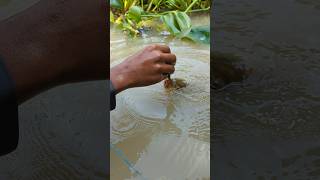 Unique Fishing hand Fishing Challenge Video 😲fishingshortsviralshort [upl. by Yrailih]