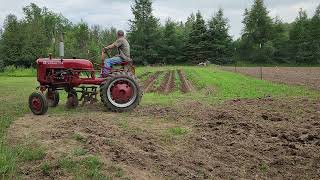 Farmall Cub hilling potatoes 2023 farmallcubfarmallpotatoestractor [upl. by Nylrebma]