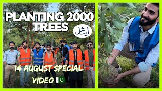 Planting 2000 trees in Lahore  Isaar foundation  14 August special video  Dr Charsi Official [upl. by Adrahc594]