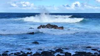 Laupahoehoe Point Beach Park 3 of 4  Island Horizon Videos 1314 [upl. by Garbers]