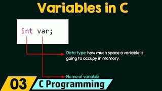 Introduction to Variables [upl. by Aillij]