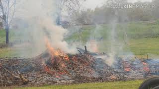 Burn pile  yard debris removal [upl. by Tyoh]