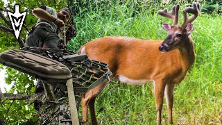 First River Farm Card Pull Save  On USA Treestands  Midwest Whitetail [upl. by Emor726]