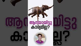 പെട്ടാൽ അപ്പം വിട്ടോണംThe Influence of Circumstances Motivational Story to show courage [upl. by Assela]