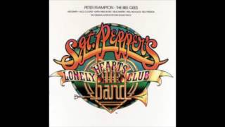 Sgt Peppers Lonely Hearts Club Band Soundtrack 1976 [upl. by Alys]