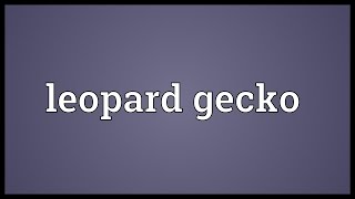 Leopard gecko Meaning [upl. by Antin420]