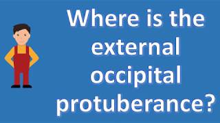 Where is the external occipital protuberance   Best Health FAQ Channel [upl. by Glassco]