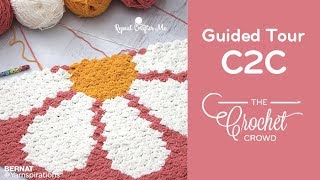 Learning Crochet C2C with Guided Procedures for C2C Graphghans  BEGINNER  The Crochet Crowd [upl. by Iel]