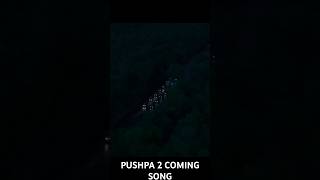 Pushpa 2  The Rule Trailer Hindi  Allu Arjun  Sukumar  Rashmika Mandanna  Fahadh Faasil  DSP [upl. by Anuaek]