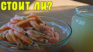 Стоит ли покупать креветки варено мороженые🍤 [upl. by Douville]