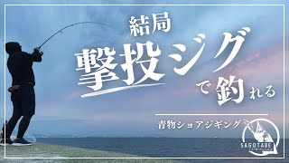 【ショアジギング】武庫一で色々試した結果、結局撃投ジグで釣れた！ [upl. by Pryor]